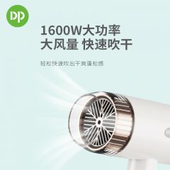 DP久量电吹风RZ881