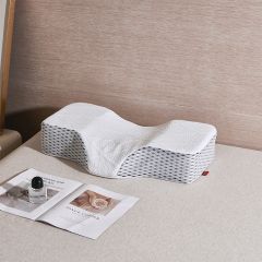 红蜻蜓	50D黄金枕	HQT-3020