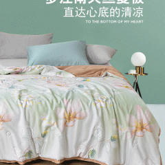洁丽雅梦江南天丝夏被JLY-B2279 
